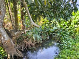 Detecta CMAS fuga en línea de 18 pulgadas y realizará trabajos de reparación para mejorar el suministro en el poniente