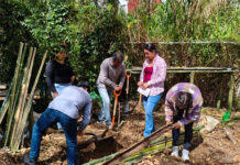 Estudiantes UV impulsan huerto sustentable en el Campus CAD