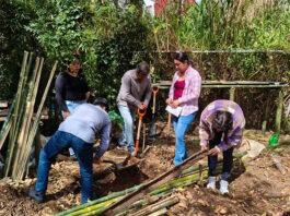 Estudiantes UV impulsan huerto sustentable en el Campus CAD