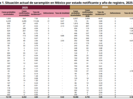 Aumenta a 44 el número de casos de sarampión en Veracruz