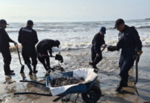 Gobierno de México refuerza acciones integrales ante presencia de hidrocarburos en costas del Golfo