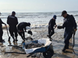 El derrame de petróleo y la intriga desmedida