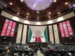 El día que crecieron los chaparros / Bernardo Gutiérrez Parra