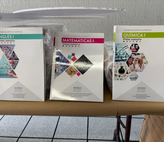 El rescate de las bibliotecas / Yamiri Rodríguez Madrid