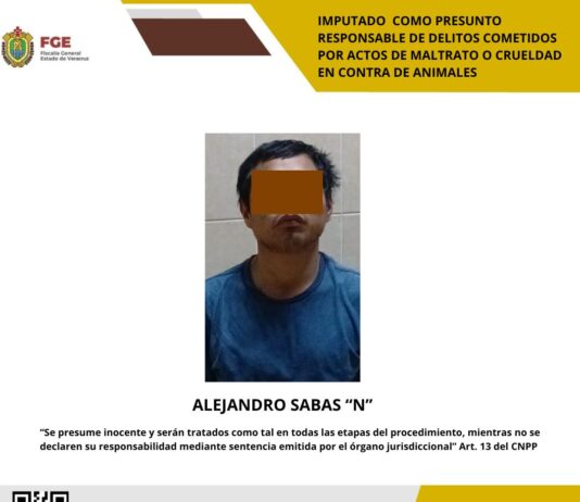 Lo imputan a proceso tras lesionar con arma blanca a una perrita en Poza Rica