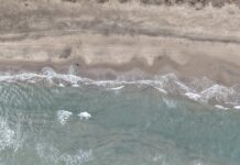 Alvarado recibe temporada vacacional con playas en condiciones óptimas