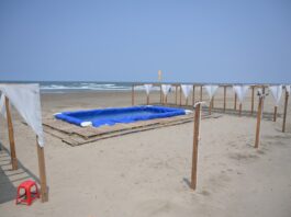 Coatzacoalcos abre Playa Inclusiva y Playa Familiar para Semana Santa