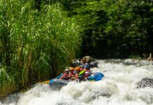 Semana Santa se vive mejor en Veracruz, el estado que está de moda