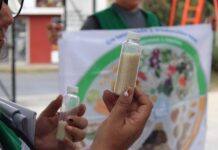 Con jornadas de activación física el Ayuntamiento impulsa una vida saludable