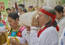 Inicia Cumbre Tajín 2026 con una amplia oferta cultural y acceso gratuito