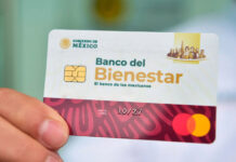 El día que digan “se acabaron los apoyos” / Bernardo Gutiérrez Parra