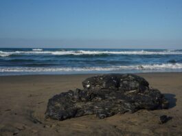 El recuento de los daños tras el derrame / Yamiri Rodríguez Madrid