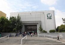 Qué ganas de seguir haciéndose bueyes / Bernardo Gutiérrez Parra