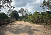 Iniciará SICT construcción de camino artesanal en la sierra de Soteapan