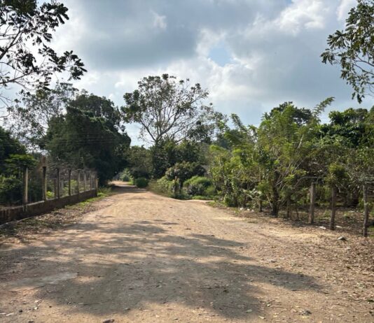 Iniciará SICT construcción de camino artesanal en la sierra de Soteapan