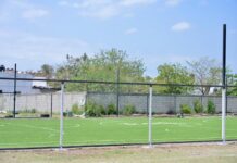 Veracruz y el Mundial de Futbol / Yamiri Rodríguez Madrid