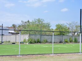 Veracruz y el Mundial de Futbol / Yamiri Rodríguez Madrid
