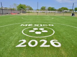 Supervisa alcaldesa de Veracruz construcción de canchas de futbol en el municipio