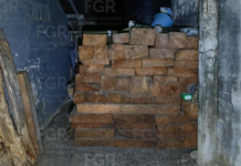 FGR asegura, mediante cateo, 190 tablones de cedro en Ixcatepec