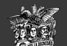 CEDH de Veracruz dirige recomendación a Fiscalía al acreditar tortura por parte de la policía ministerial contra Diego Fernando indígena Ñuhü