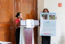 Coatepec avanza con firmeza en materia Protección y Bienestar Animal: Nacho Luna