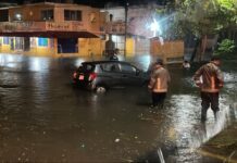 Atiende Gobierno de Coatzacoalcos más de 10 servicios por lluvias tras tormenta nocturna