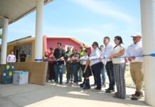 Destaca Pedro Miguel Rosaldo coordinación con Federación, sector energético y comunidad en obras educativas