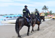 Visitantes destacan playas limpias en Veracruz y piden no dejarse llevar por versiones erróneas