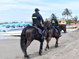 Visitantes destacan playas limpias en Veracruz y piden no dejarse llevar por versiones erróneas