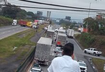 Bloquean transportistas la autopista en Veracruz; se unen al paro nacional por inseguridad