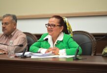 Los 100 días de Daniela / Enrique Yasser Pompeyo