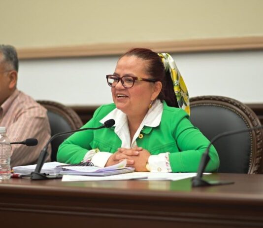 Los 100 días de Daniela / Enrique Yasser Pompeyo