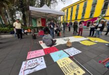 Denuncian «fraude cafetalero»: Triangulan grano de Vietnam para simular origen mexicano