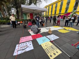 Denuncian «fraude cafetalero»: Triangulan grano de Vietnam para simular origen mexicano