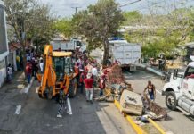 Recolecta Ayuntamiento de Veracruz 117 toneladas de desechos en jornada de descacharrización