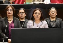 Diputada Elizabeth Cervantes plantea en Tribuna regular uso de pirotecnia por riesgos a la salud, animales y medio ambiente