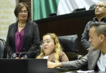 Diputada Mónica Herrera propone cuota laboral obligatoria para personas con discapacidad en empresas