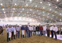 Congreso del Caballo proyecta la riqueza productiva de Veracruz: Rocío Nahle