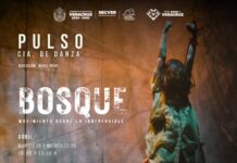 Celebra SECVER Día Internacional de la Danza con la puesta Bosque, Movimiento desde lo irreversible