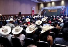 Veracruz reúne a expertos y tradición en el cierre del Congreso Nacional del Caballo