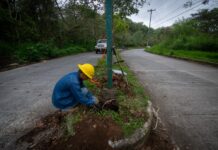 Personal de Alumbrado Público trabaja en restablecer luminarias en el fraccionamiento Las Fuentes