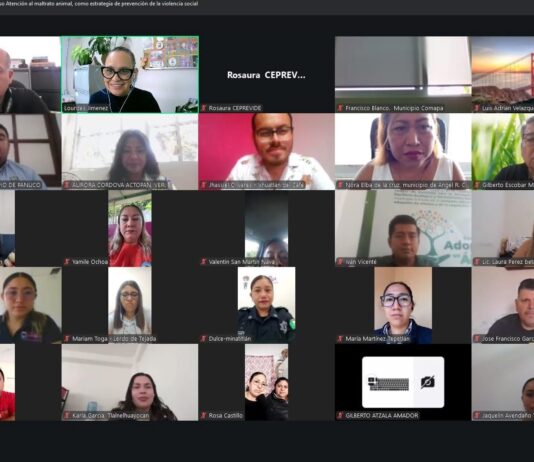 Veracruz avanza en protección animal; 57 municipios se capacitan