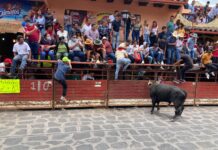 Activistas exigen a SCJN prohibir la tauromaquia en seis estados