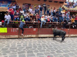 Activistas exigen a SCJN prohibir la tauromaquia en seis estados