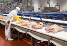 Mantiene crecimiento Planta Procesadora de Carne de Altosano-Granjas Carroll