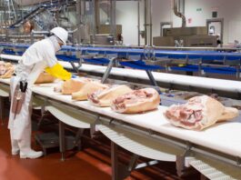 Mantiene crecimiento Planta Procesadora de Carne de Altosano-Granjas Carroll