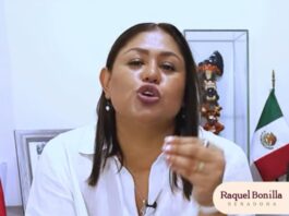 Senadora Raquel Bonilla responde a señalamientos de Lili Téllez; la califica como «vende patrias», y defiende acciones en Veracruz