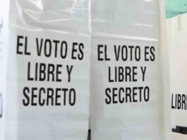 La elección de las y los agentes municipales / Yamiri Rodríguez Madrid