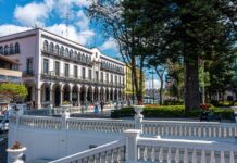 Este es solo el comienzo, con 100 días de trabajo por el bien de Xalapa la transformación está en marcha: Daniela Griego