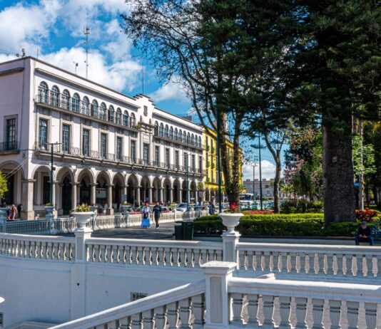 Este es solo el comienzo, con 100 días de trabajo por el bien de Xalapa la transformación está en marcha: Daniela Griego